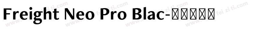 Freight Neo Pro Blac字体转换